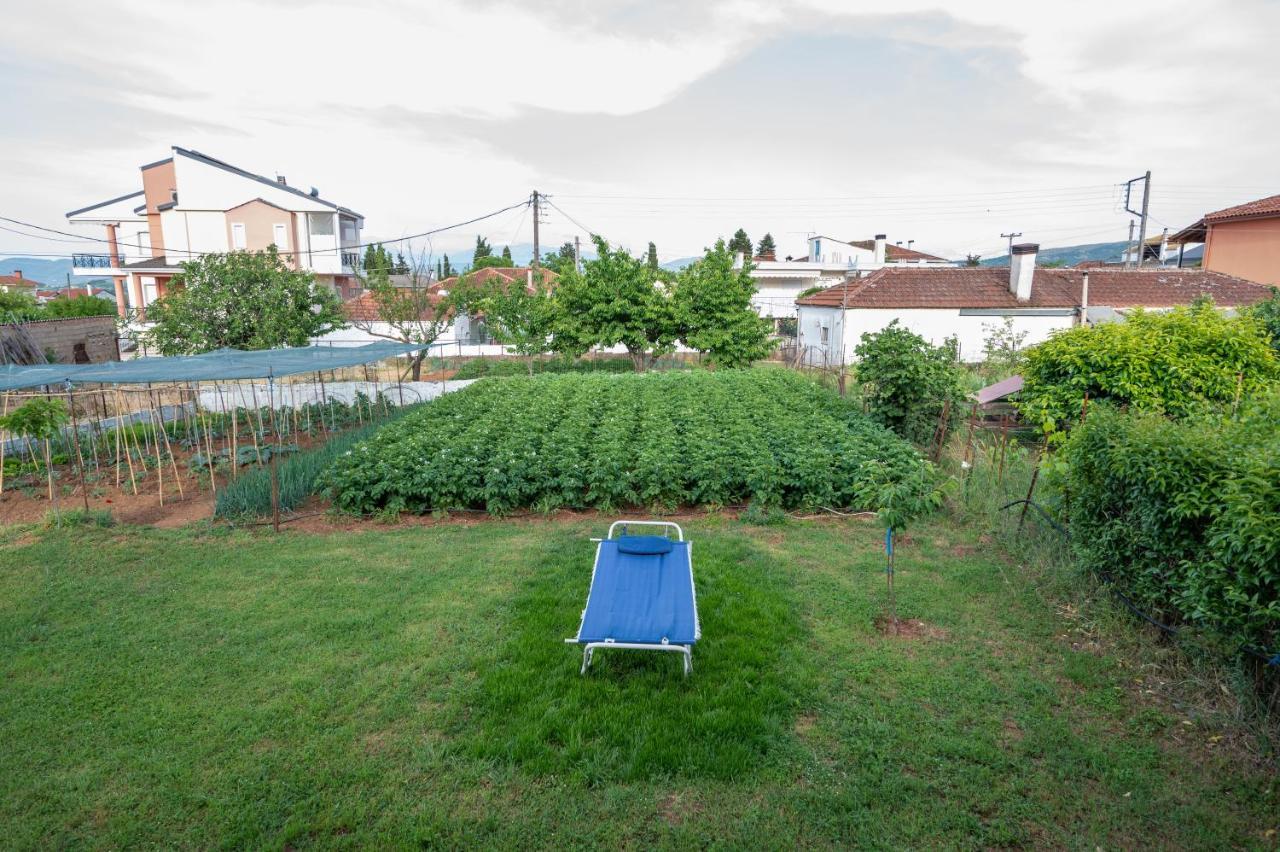 Dream House Ioannina Διαμέρισμα Εξωτερικό φωτογραφία
