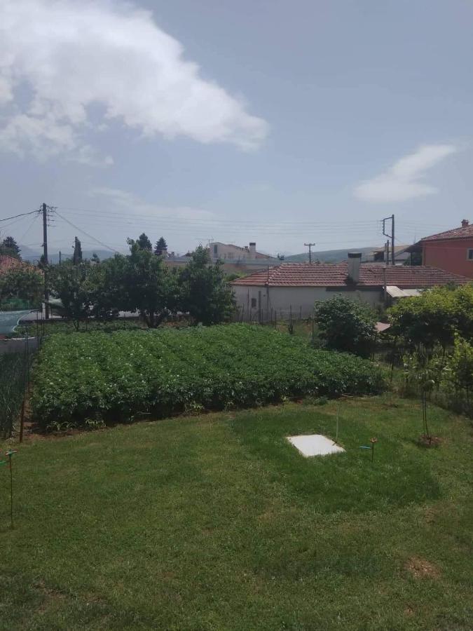Dream House Ioannina Διαμέρισμα Εξωτερικό φωτογραφία