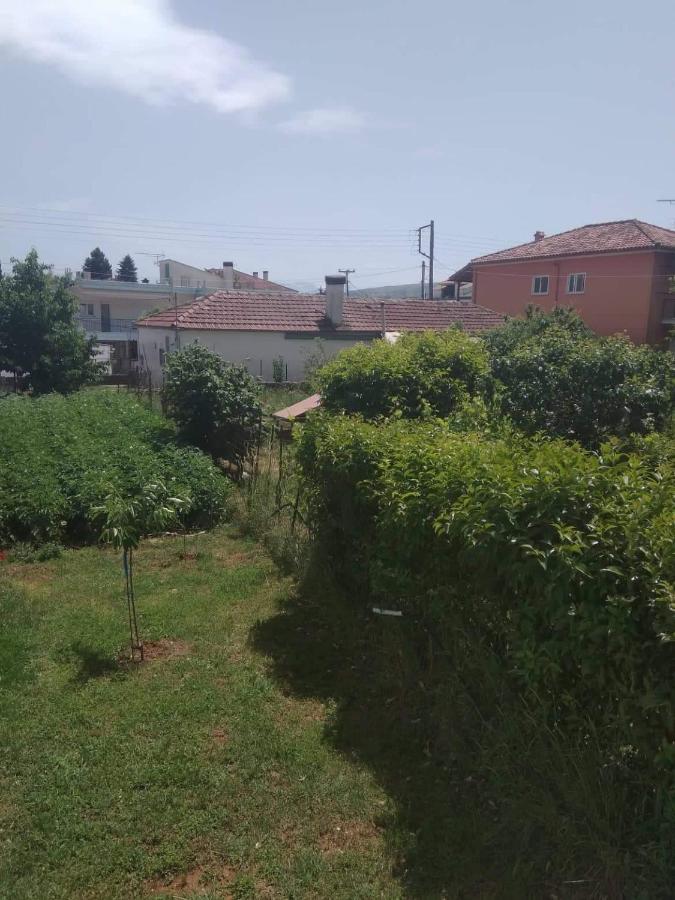 Dream House Ioannina Διαμέρισμα Εξωτερικό φωτογραφία